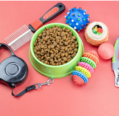 Pet Sitting vs. Pet Boarding: Which is Better for Your Pet?